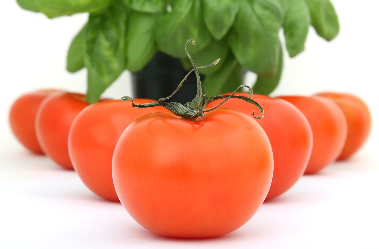 גידול עגבניות אצלכם בגינה! ראו כמה קל זה לגדל בעצמכם